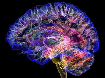 操逼高潮小视频免费观看大脑植入物有助于严重头部损伤恢复